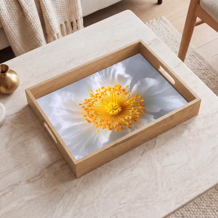 Plateau - Blanc - Fleur - Elégant — 2