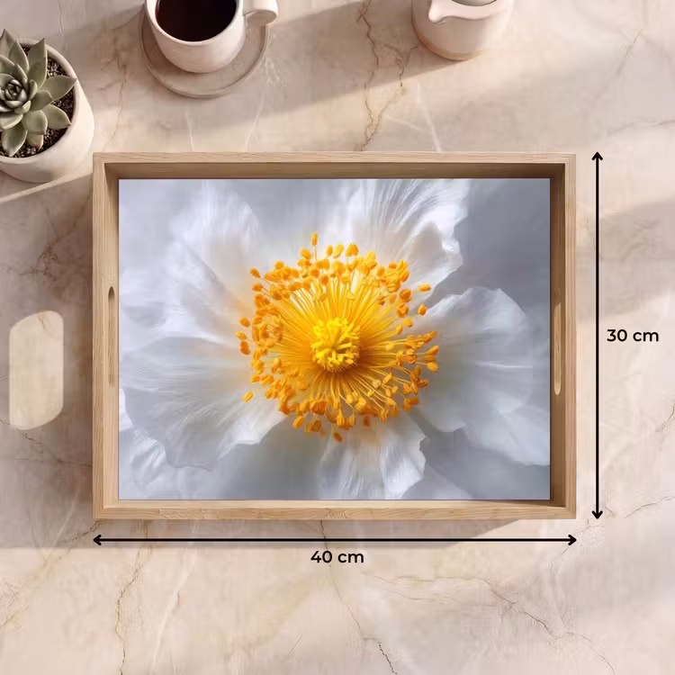 Plateau - Blanc - Fleur - Elégant — 9