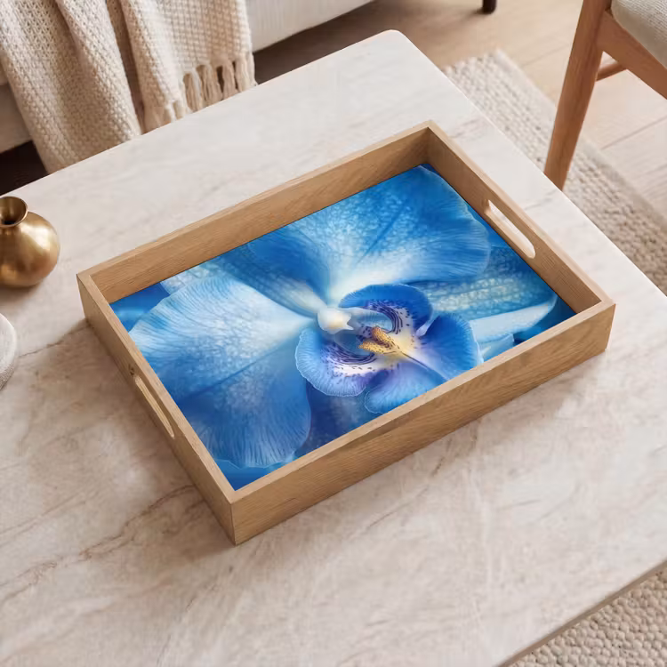 Plateau - Bleu - Orchidée - Élégante — 2