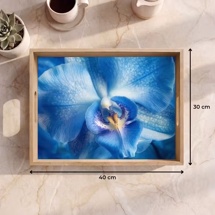 Plateau - Bleu - Orchidée - Élégante — 9