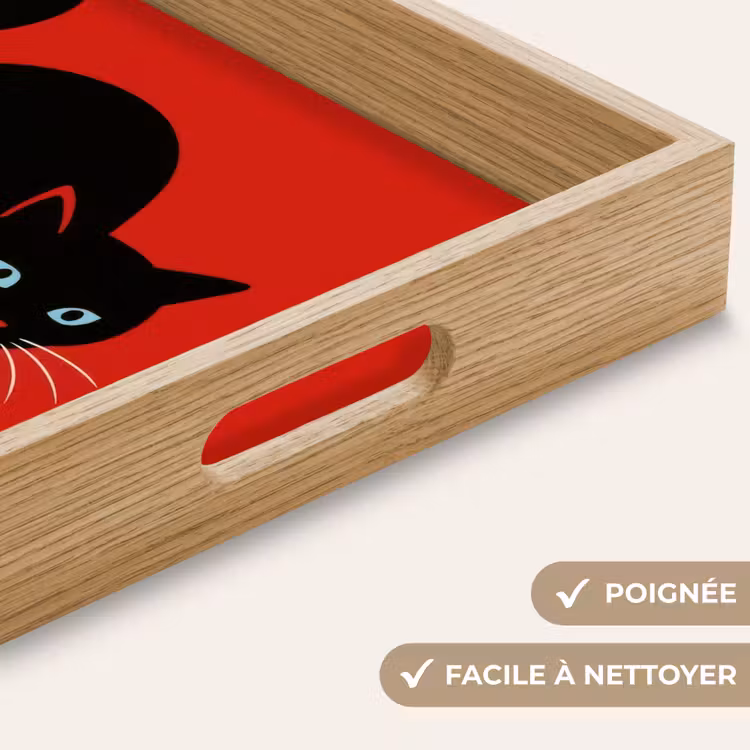 Plateau - Chat - Noir - Queue — 5