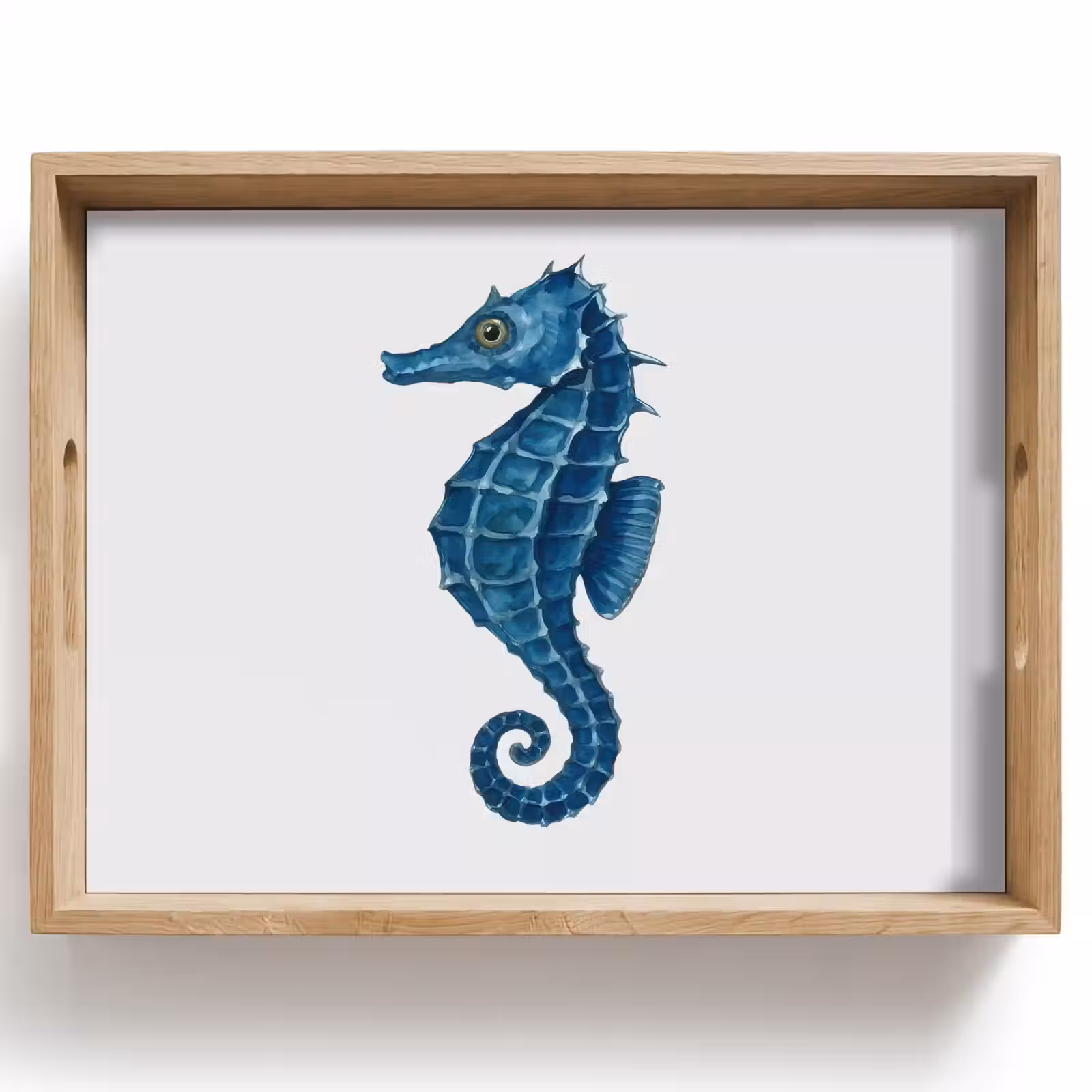 Plateau - Hippocampe - Queue - Bleu — 1