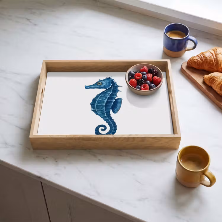 Plateau - Hippocampe - Queue - Bleu — 4