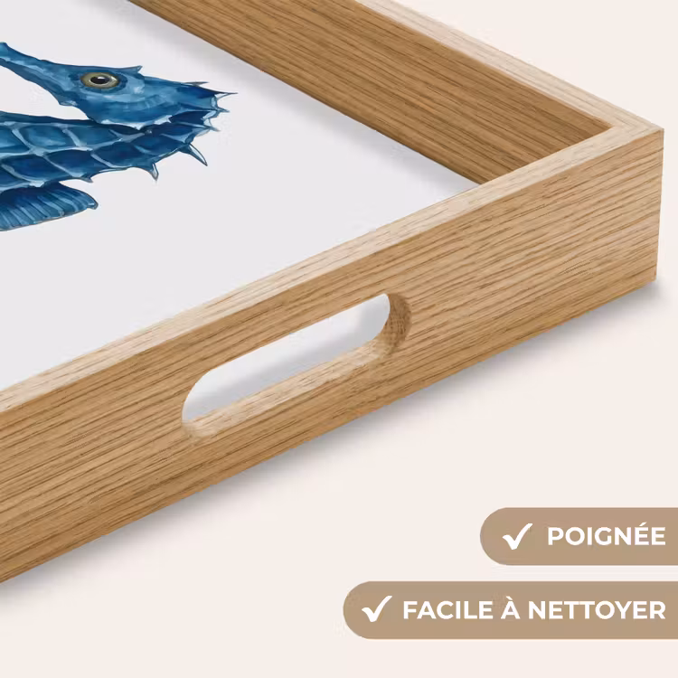 Plateau - Hippocampe - Queue - Bleu — 5