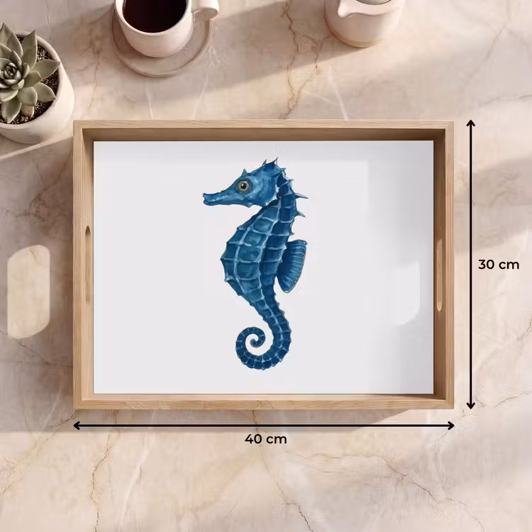 Plateau - Hippocampe - Queue - Bleu — 9