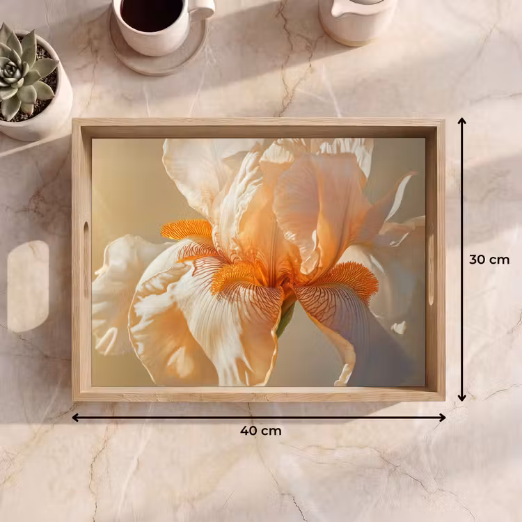 Plateau - Gros plan - Orange - Iris — 9
