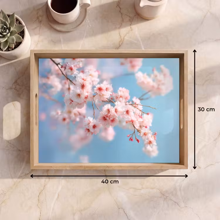 Plateau - Branches - Fleurs - Rose — 9