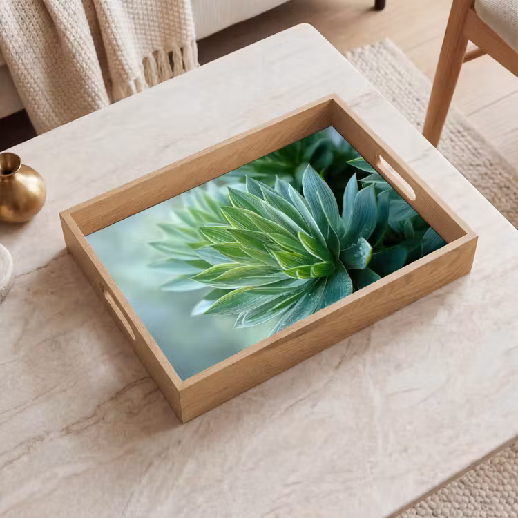 Plateau - Feuille - Plante - Vert - Texture — 2