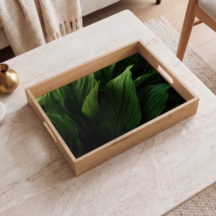 Plateau - Feuilles - Ombre - Vert - Texture — 2