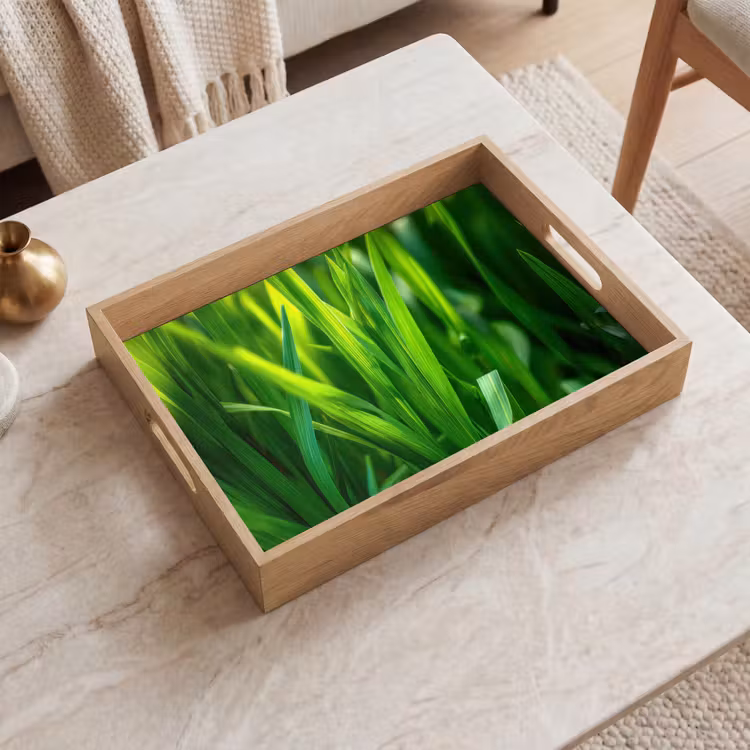 Plateau - Lames d'herbe - Léger - Vert — 2