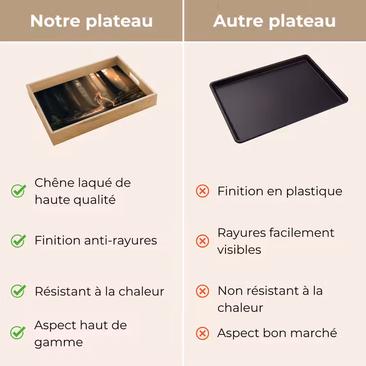 Plateau - Lapin - Forêt - Rayons de soleil — 3