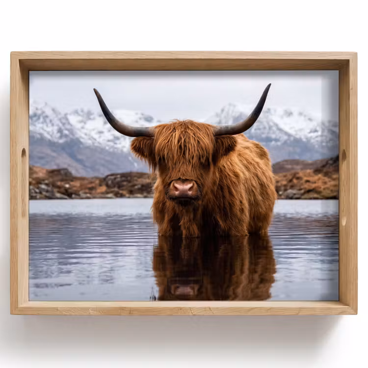 Plateau - Highlander écossais - Marron - Eau — 1