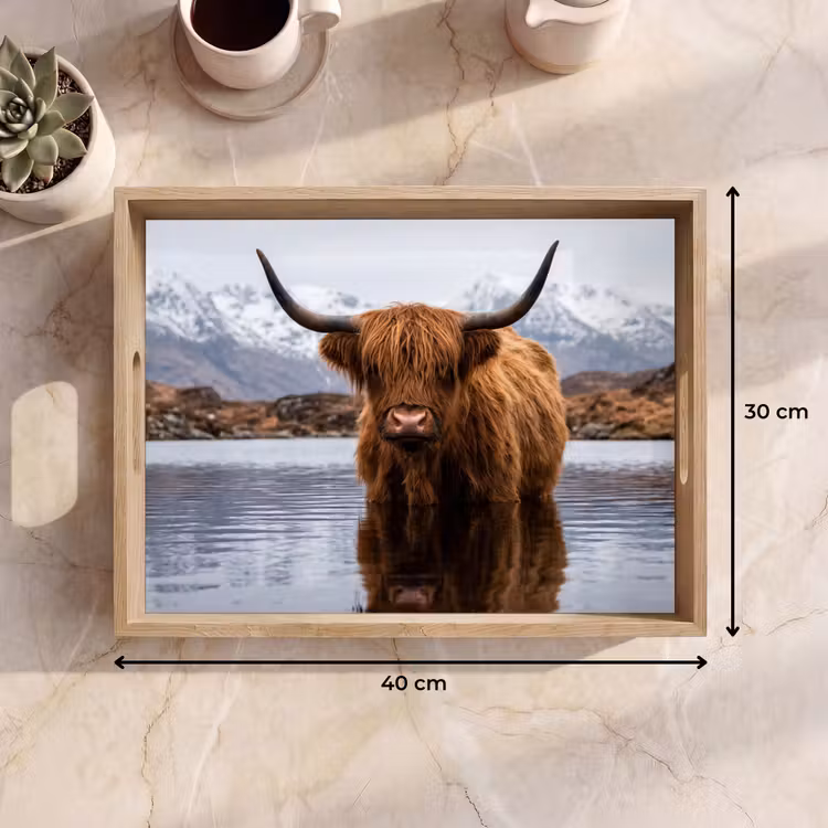 Plateau - Highlander écossais - Marron - Eau — 9