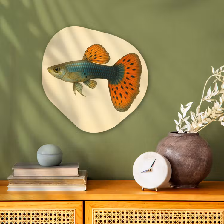 Forme organique - Forex - Poisson - illustration - Points - Orange — 2