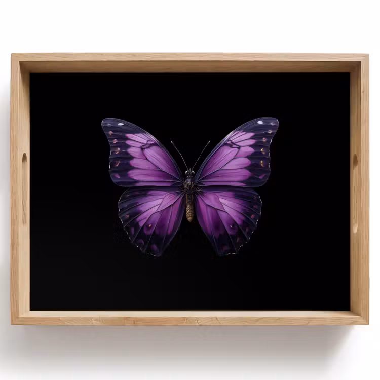 Plateau - Papillon - Violet - Vivid — 1