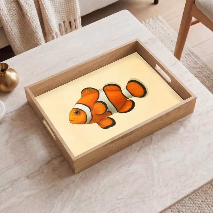 Plateau - Poisson - Orange - Rayures — 2