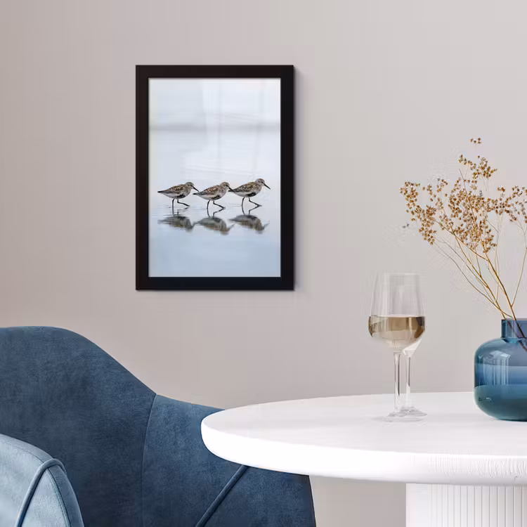 Poster avec cadre - Oiseaux - Eau - Gris — 2