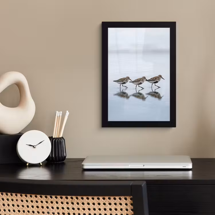 Poster avec cadre - Oiseaux - Eau - Gris — 3