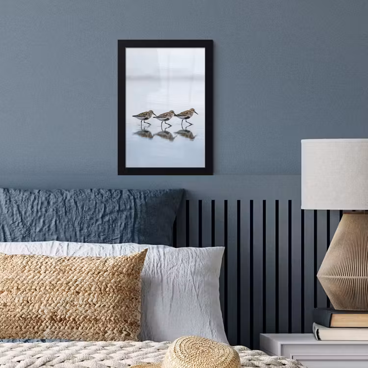 Poster avec cadre - Oiseaux - Eau - Gris — 4