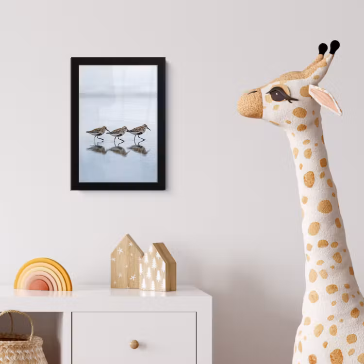 Poster avec cadre - Oiseaux - Eau - Gris — 5