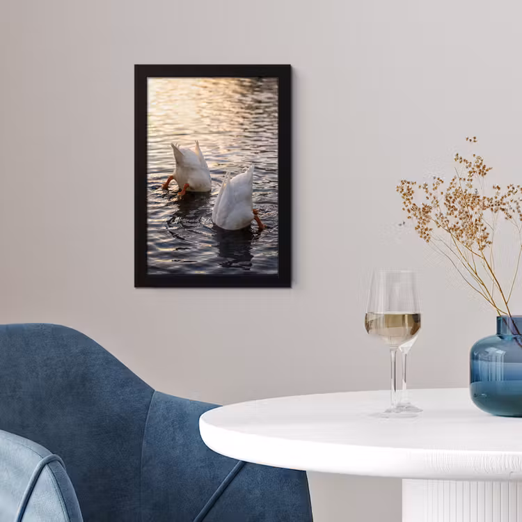 Poster avec cadre - Canards - Eau - Nature — 2