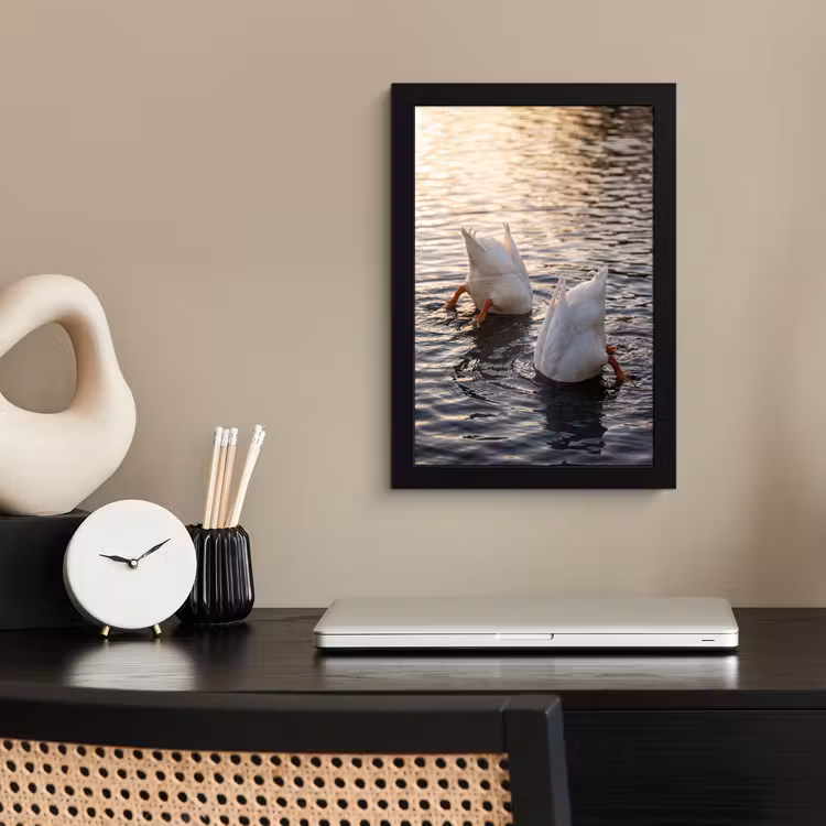 Poster avec cadre - Canards - Eau - Nature — 3