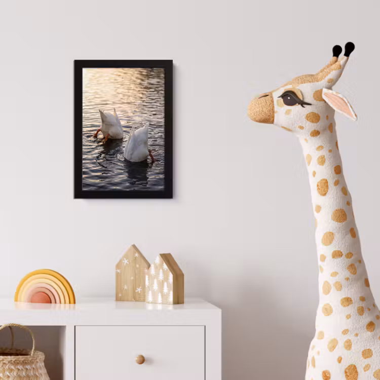 Poster avec cadre - Canards - Eau - Nature — 5