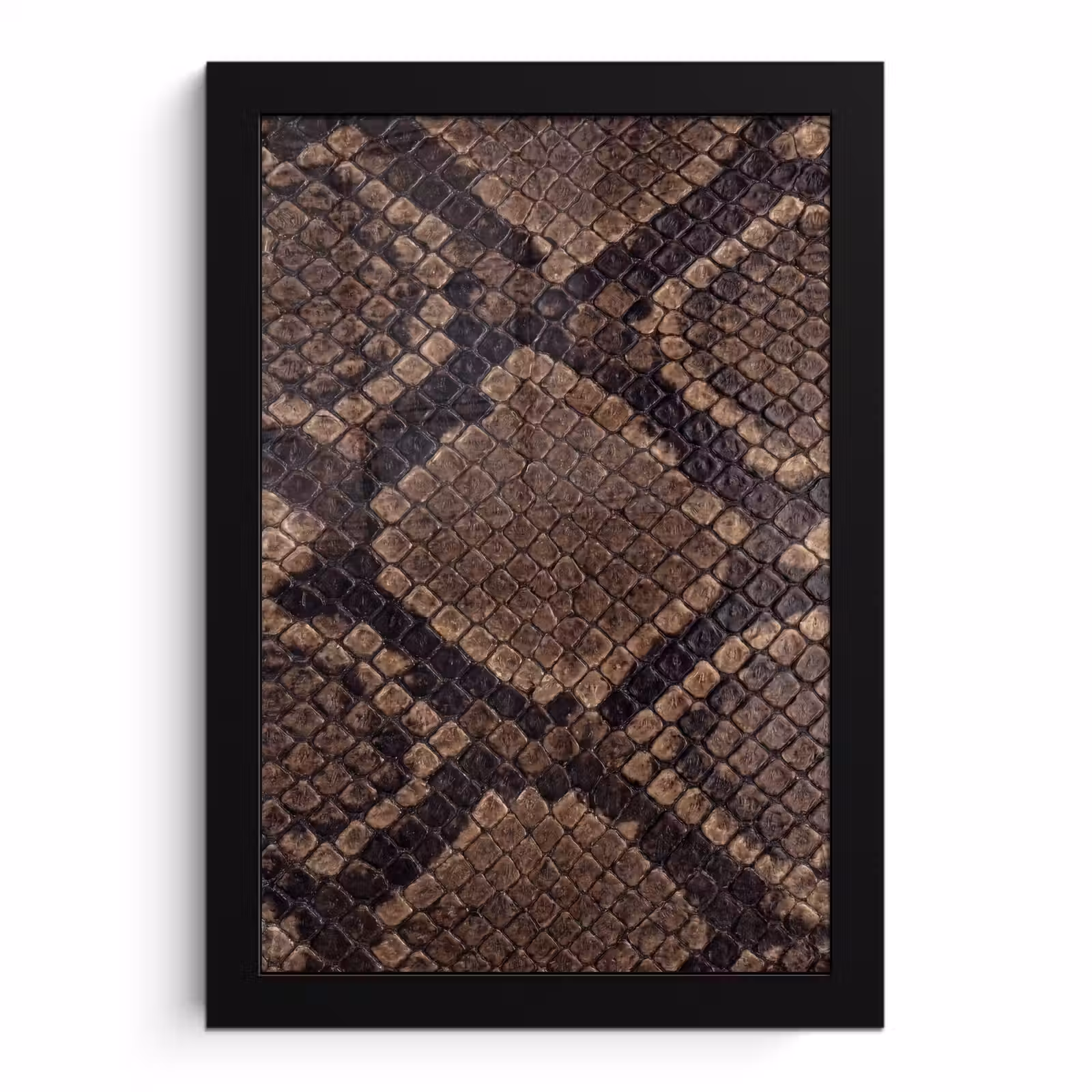 Poster avec cadre - Python - Écailles - Bronze — 1