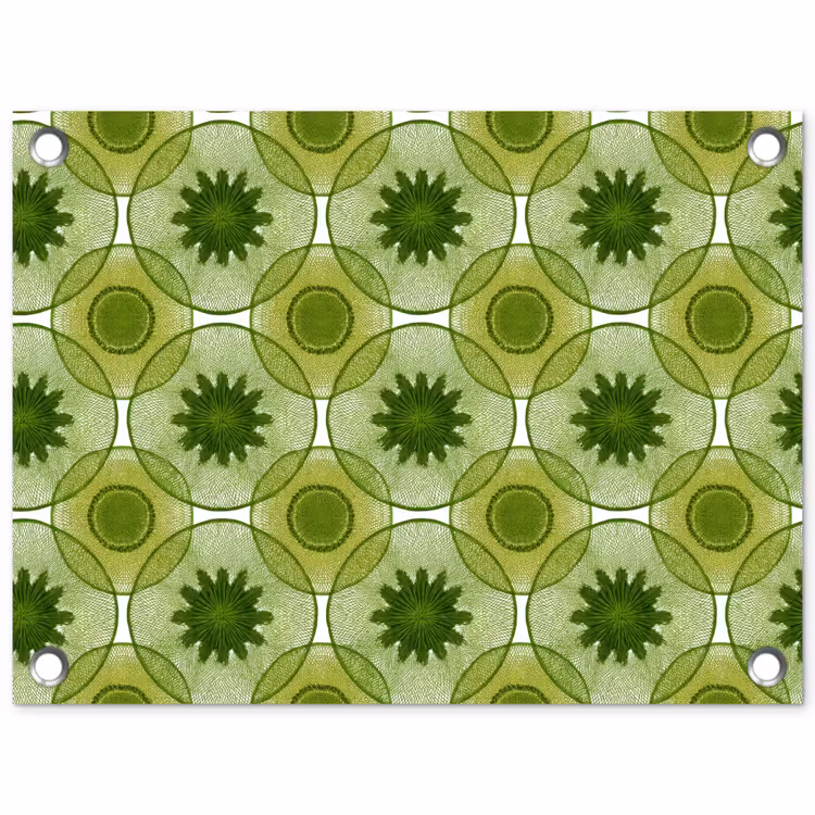 Poster d'extérieur - Cercles - Motif - Vert — 1