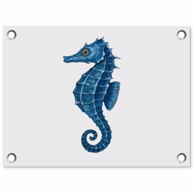 Poster d'extérieur - Hippocampe - Queue - Bleu — 1