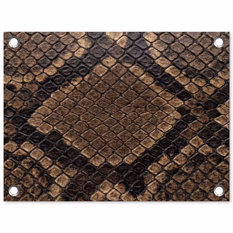 Poster d'extérieur - Python - Écailles - Bronze — 1