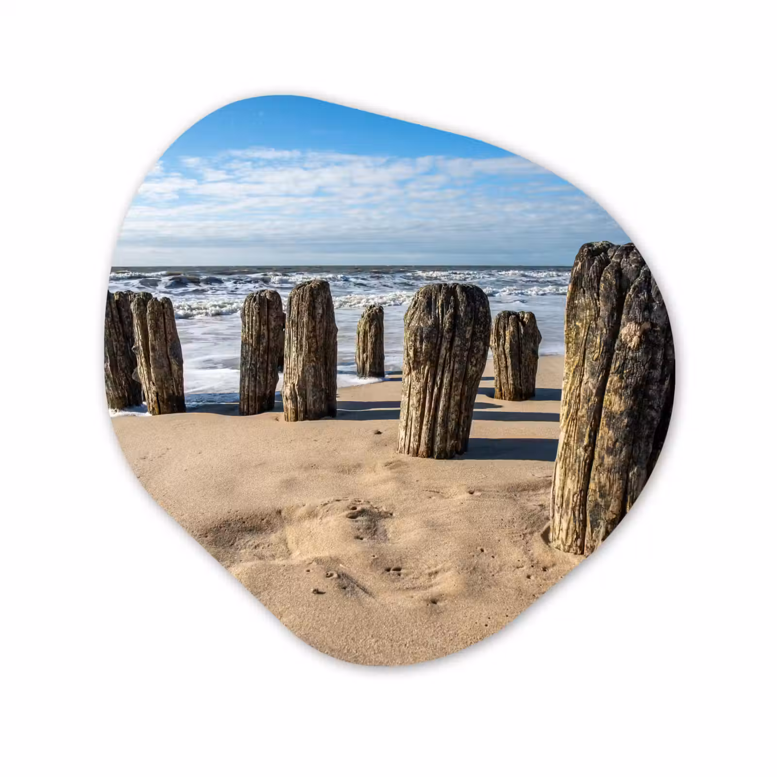 Forme organique - Forex - Sable - Plage - Pôle - Eau - Été — 1