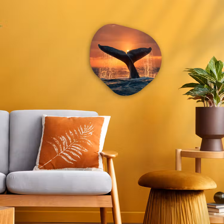 Forme organique - Forex - Queue de baleine - Eau - Coucher de soleil — 3