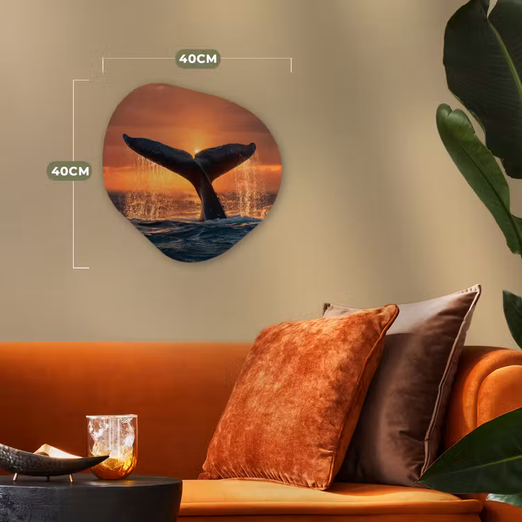 Forme organique - Forex - Queue de baleine - Eau - Coucher de soleil — 4