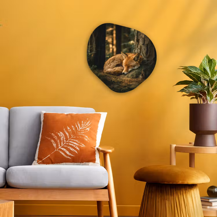 Forme organique - Forex - Renard - Forêt - Sommeil — 3