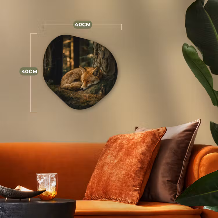 Forme organique - Forex - Renard - Forêt - Sommeil — 4