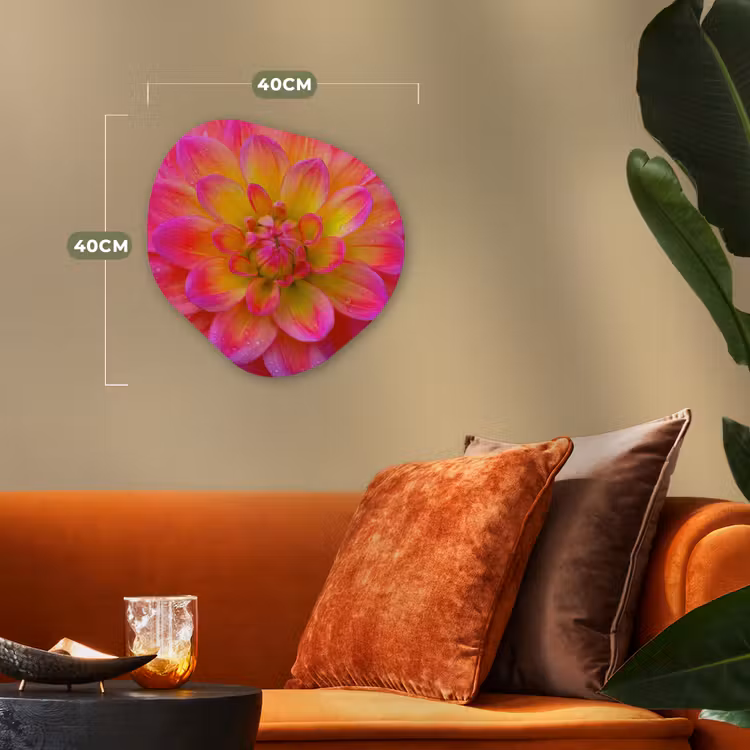 Forme organique - Forex - Rose - Dahlia - Coloré — 4
