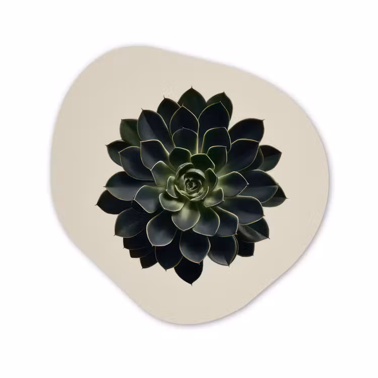 Forme organique - Forex - Rosette - Circulaire - Vert foncé — 1
