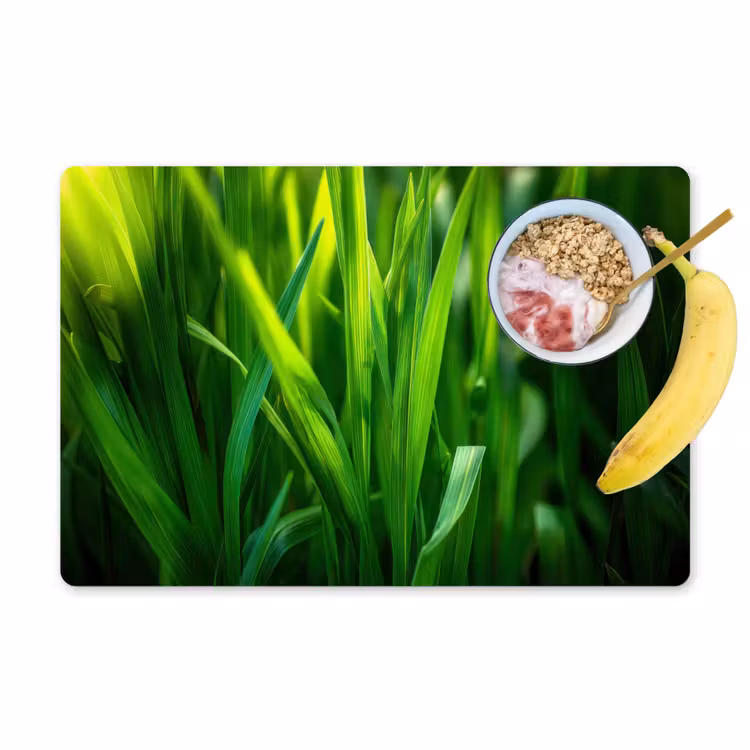 Set de table - Lames d'herbe - Léger - Vert — 1