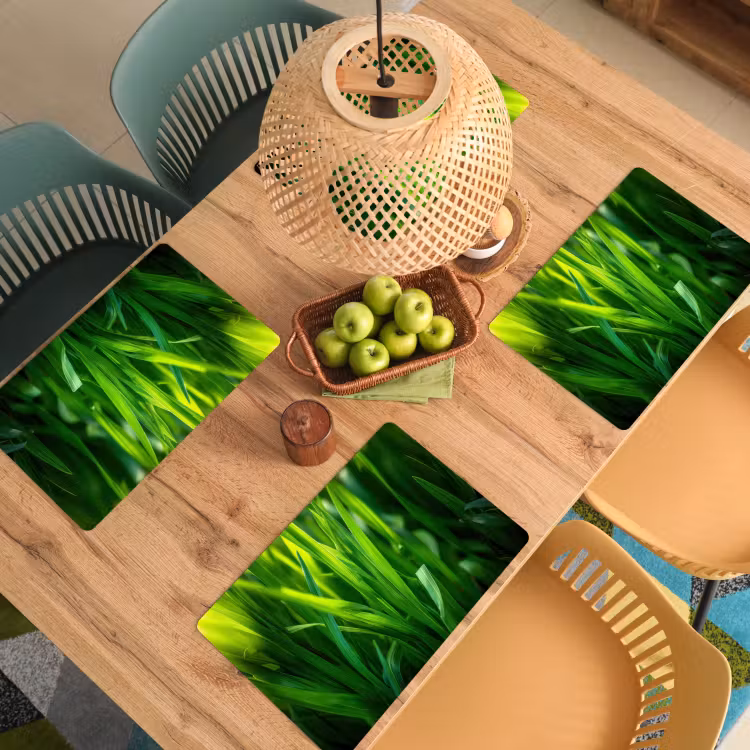 Set de table - Lames d'herbe - Léger - Vert — 4