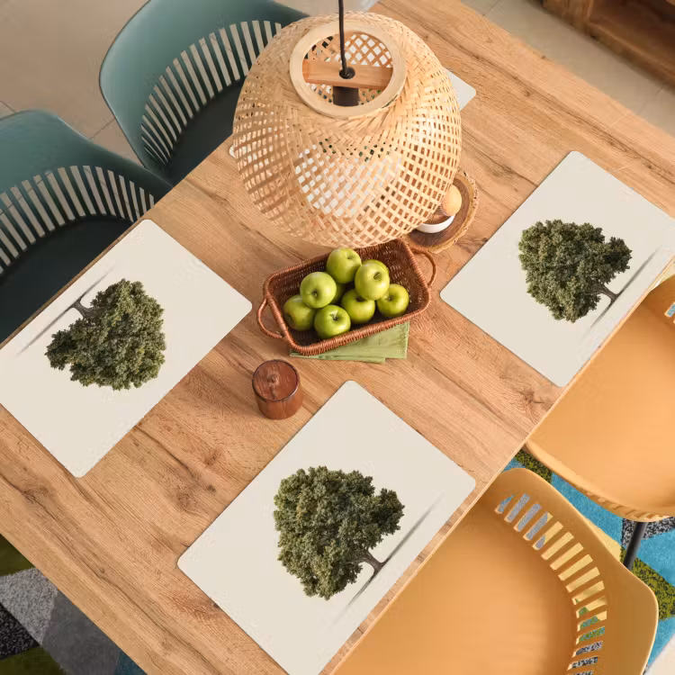 Set de table - Chêne - Vert - Fond clair — 4