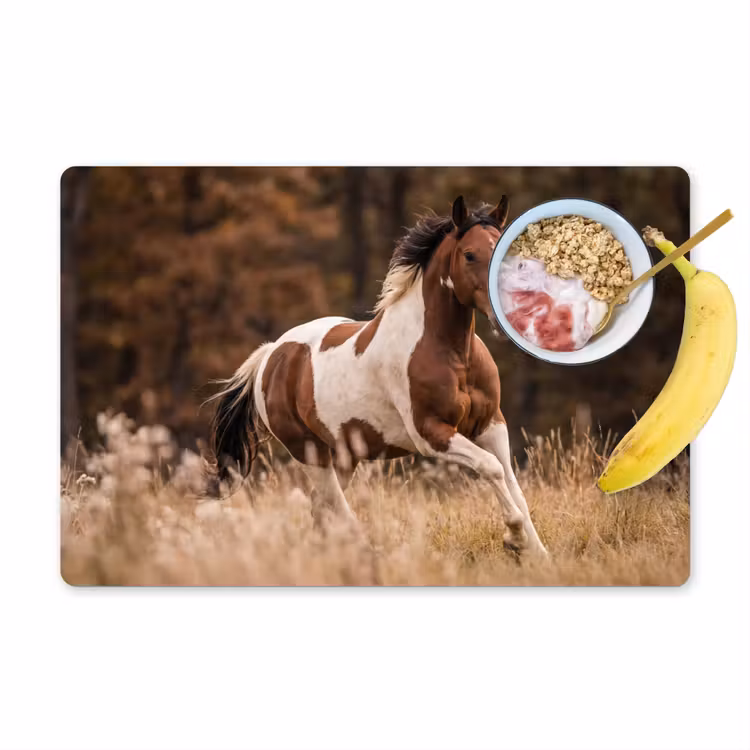 Set de table - Cheval - Marron - Herbe — 1