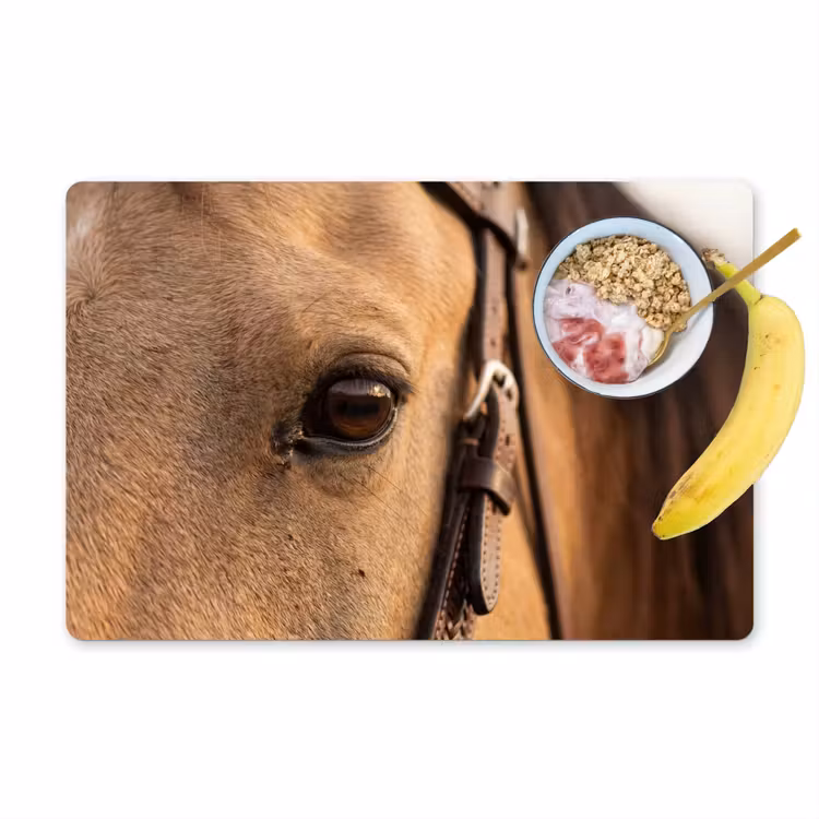 Set de table - Cheval - Oeil - Marron — 1