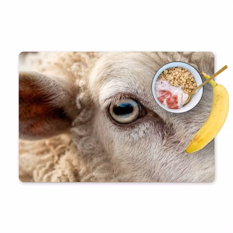 Set de table - Mouton - Oeil - Blanc — 1