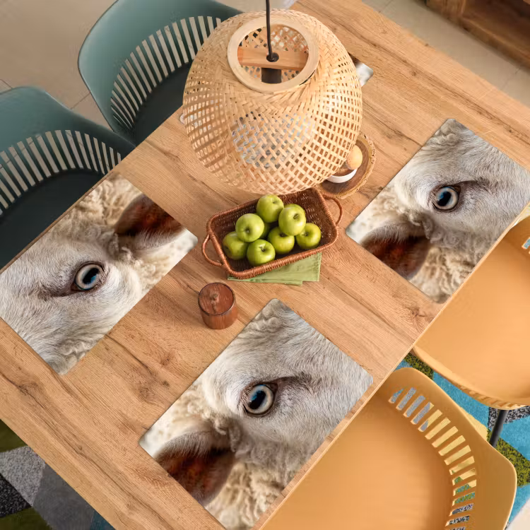 Set de table - Mouton - Oeil - Blanc — 4