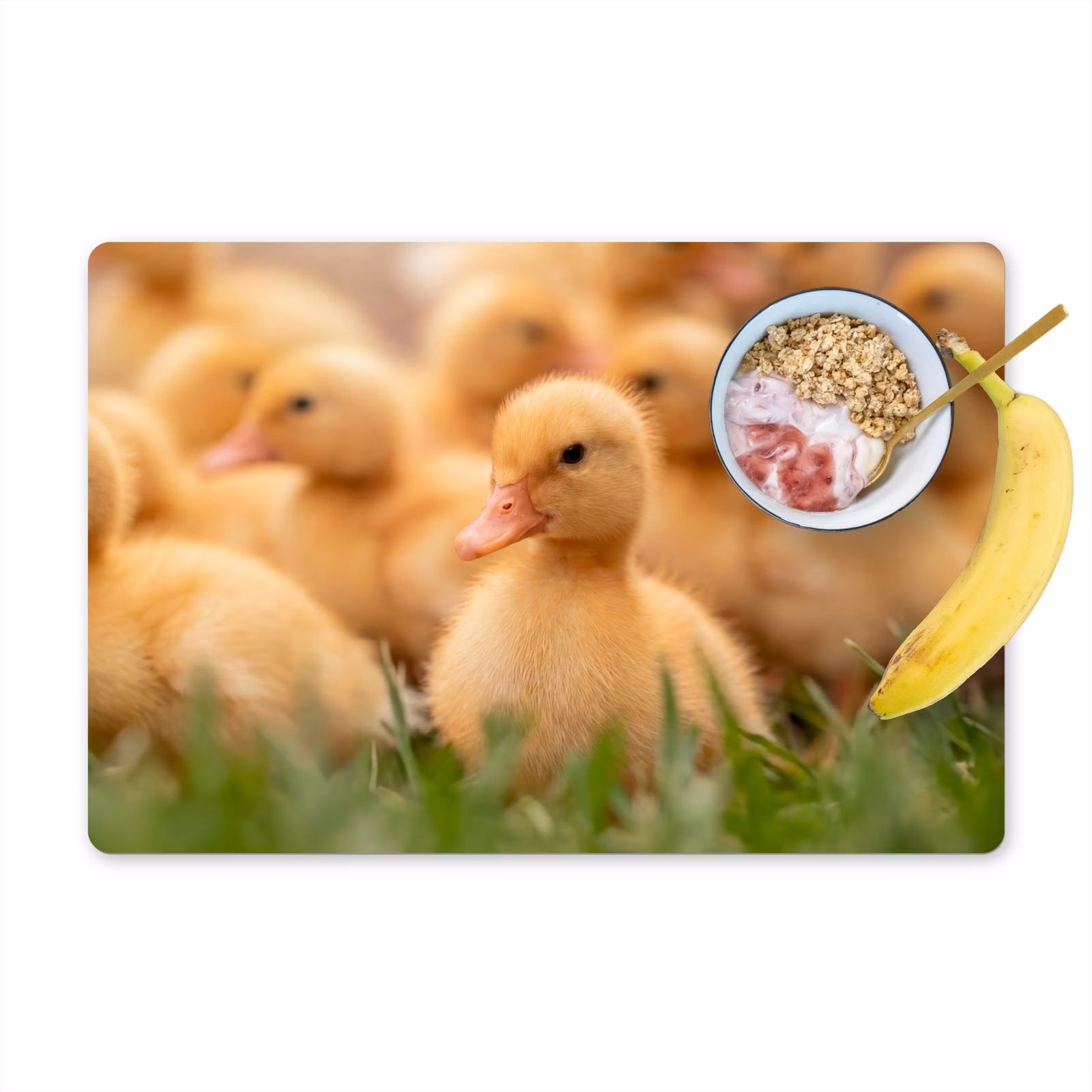 Set de table - Flèche - Canard - Nature - Jaune — 1