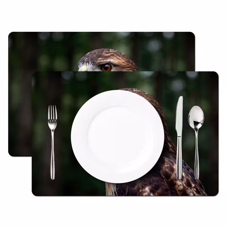 Set de table - Buse - Rapace - Nature - Marron — 2