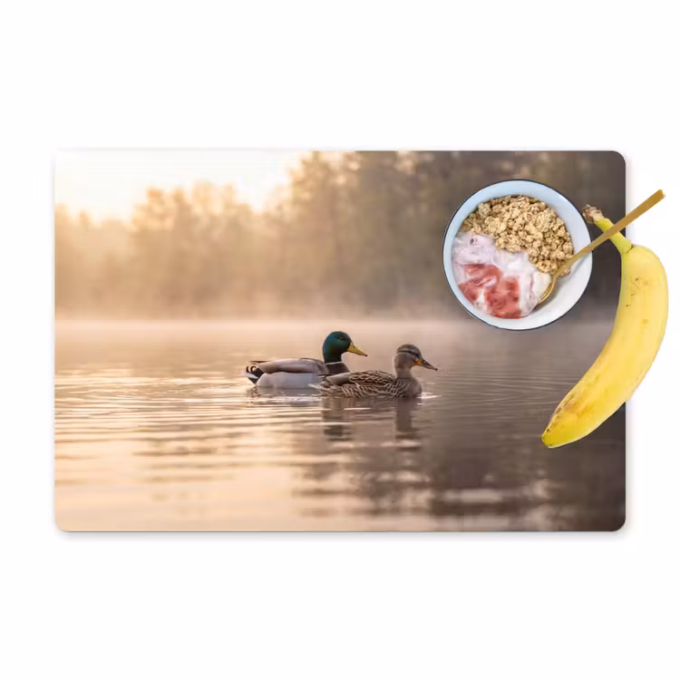 Set de table - Canards - Eau - Brouillard - Nature — 1