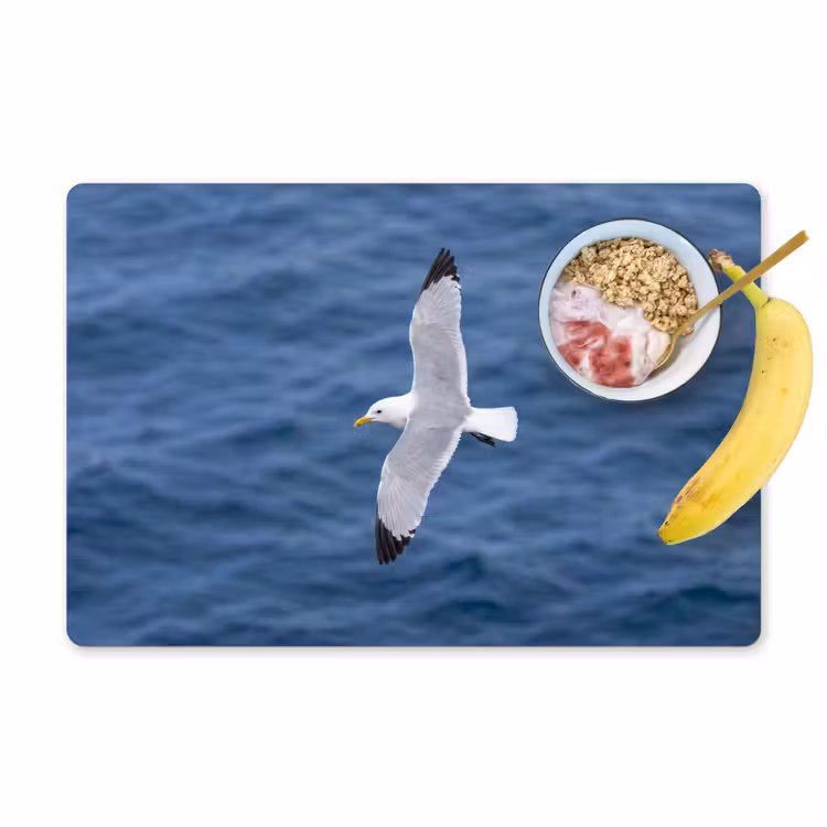 Set de table - Mouette - Océan - Bleu — 1