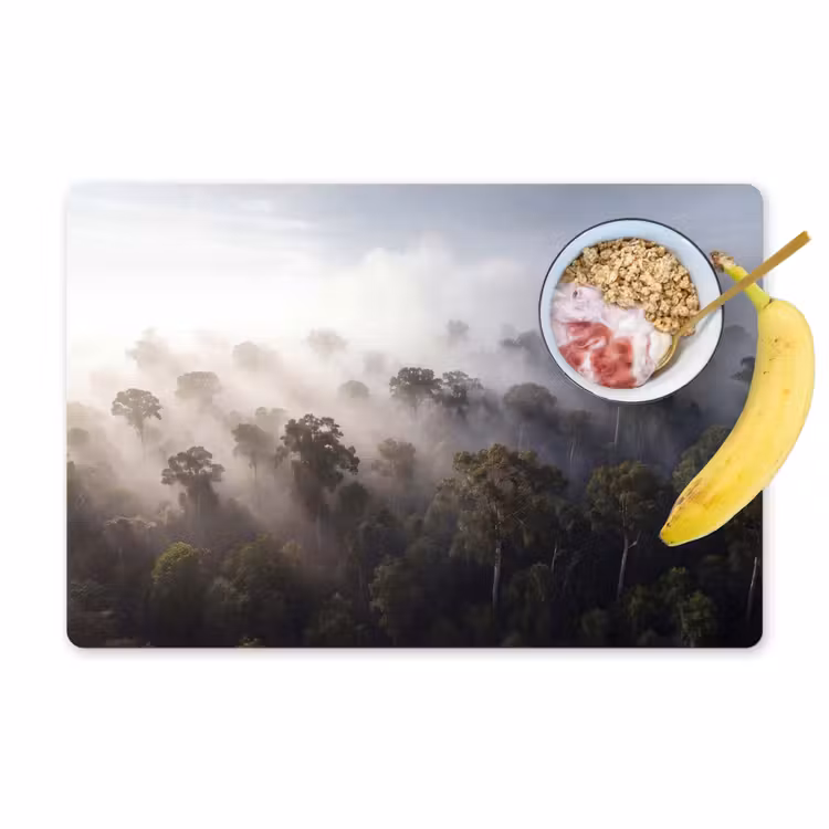 Set de table - Forêt - Brouillard - Nature - Vert — 1